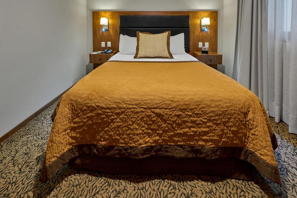 فندق Wyndham Garden Mexico Reforma المظهر الخارجي الصورة