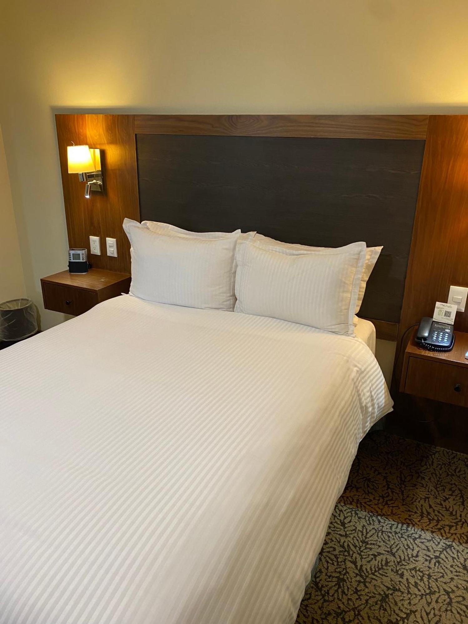 فندق Wyndham Garden Mexico Reforma المظهر الخارجي الصورة